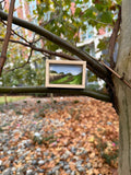 Mini Landscape Painting. Cutchogue NY.