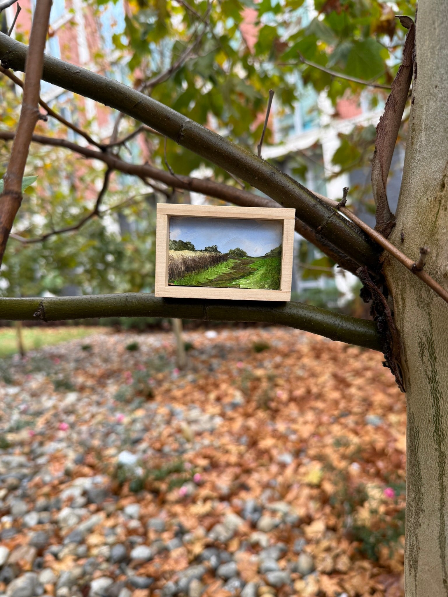 Mini Landscape Painting. Cutchogue NY.