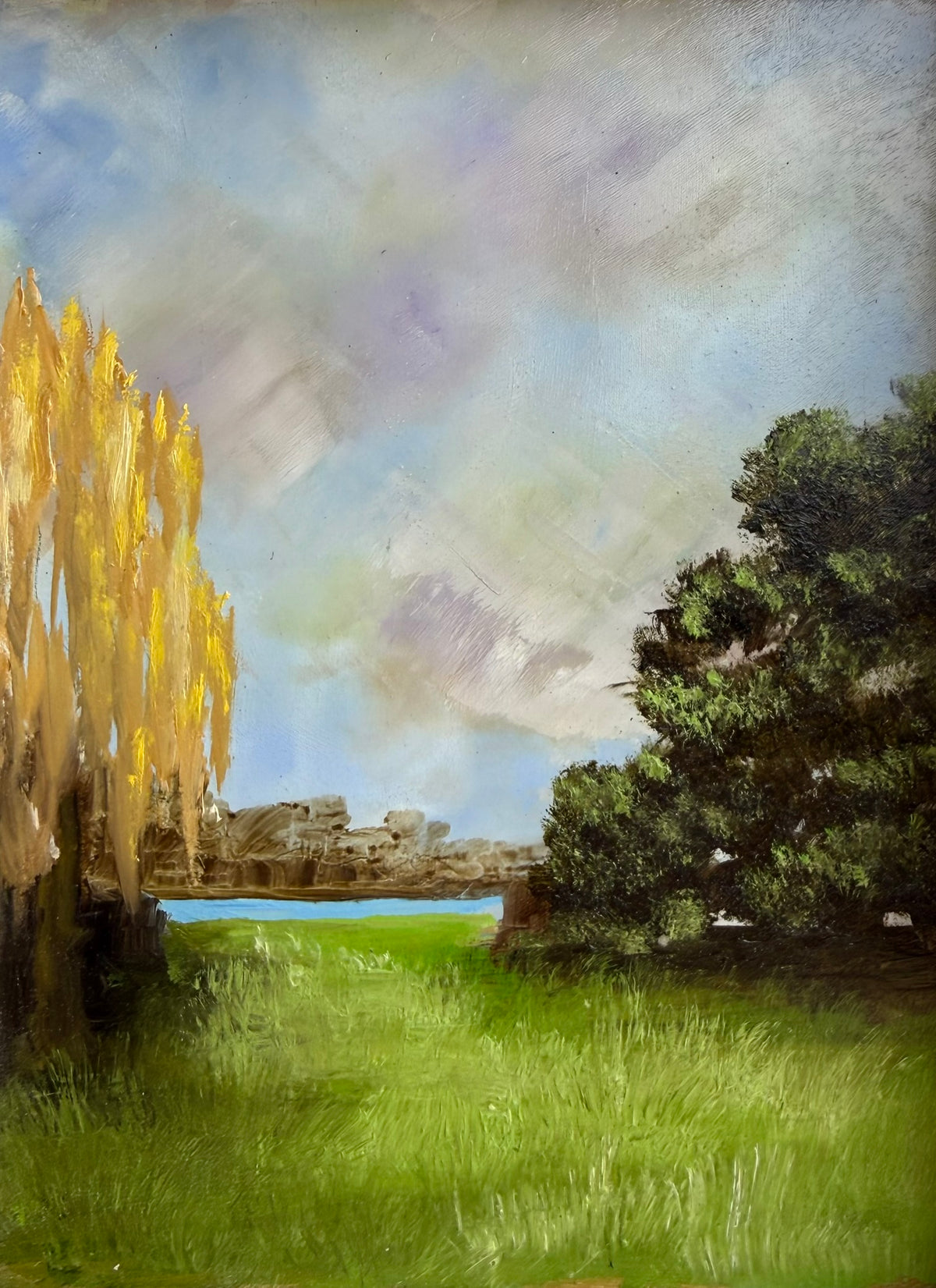 Title: Willow and Oak Trees.