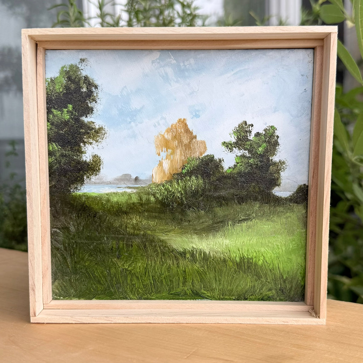 Title: Willow, Maple and Oak.