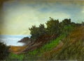 Title: The Bluff