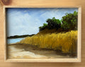 Title: Study, Reeds