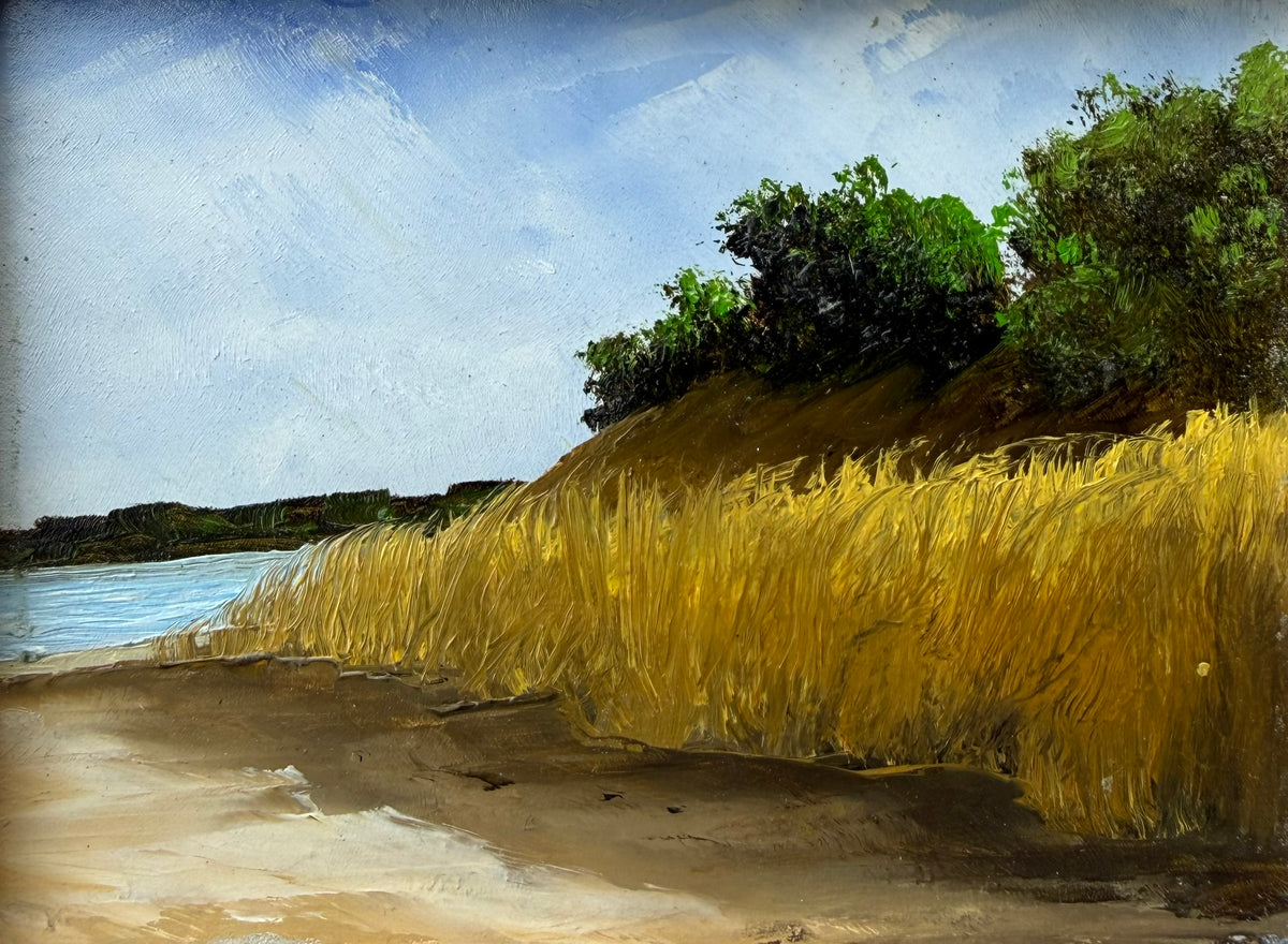 Title: Study, Reeds