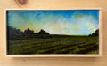 Title: Study, Tomato Fields