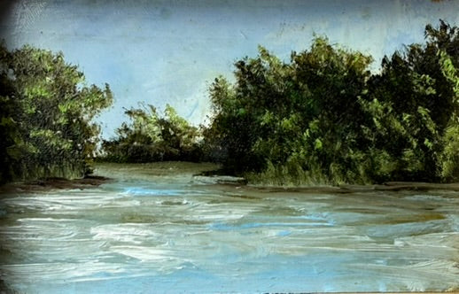 Title: Trees on the Potomac River
